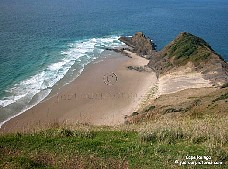 cape Reinga picture